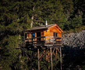 Cabane perchée avec sauna en pleine nature